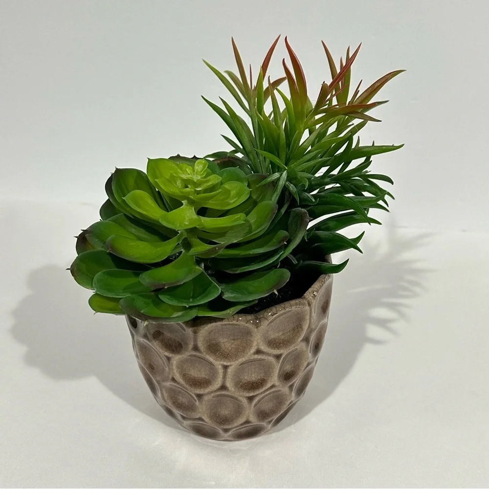 Ceramic Potted Faux Succulents Artificial Plant Decor
